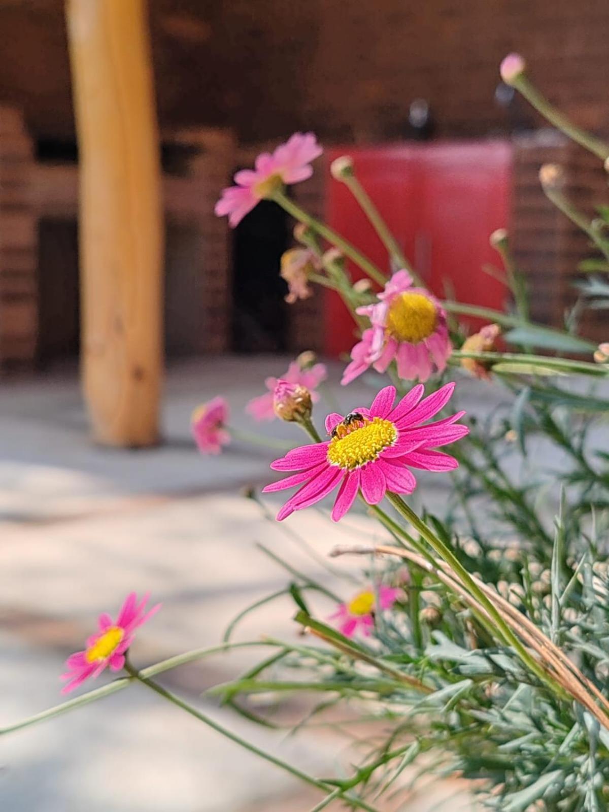 Finca Chuchiya Cabanas Tecpan Tecpan Guatemala Ngoại thất bức ảnh